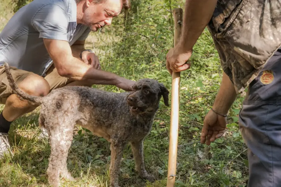 Truffle Hunting Florence