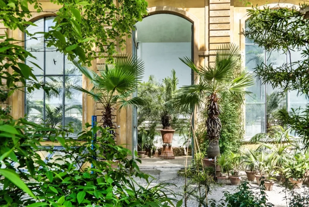 botanic garden