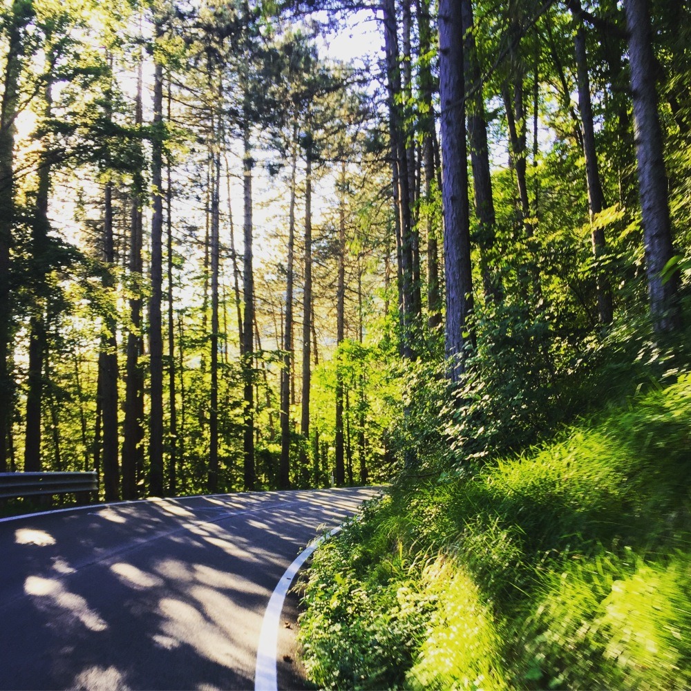 road 
