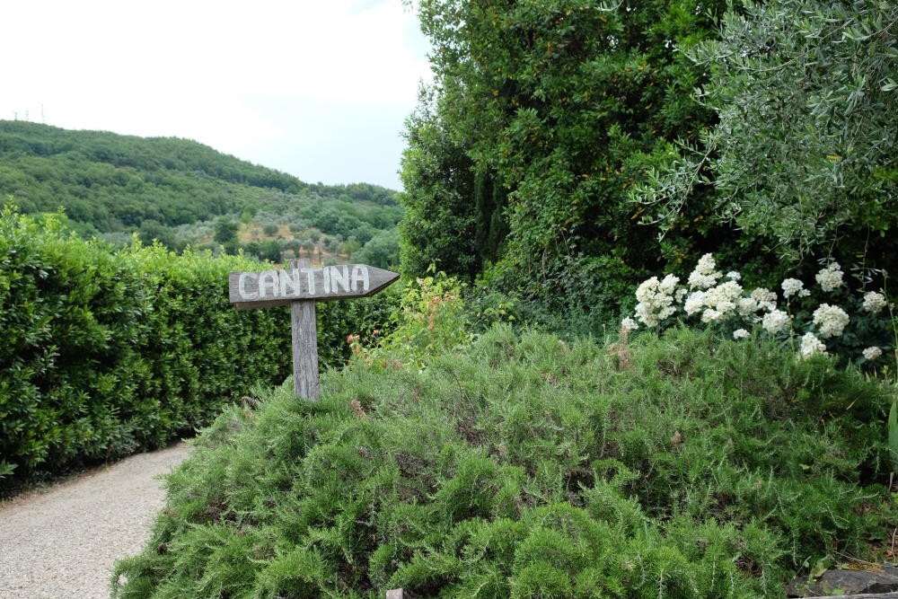 direzione cantina