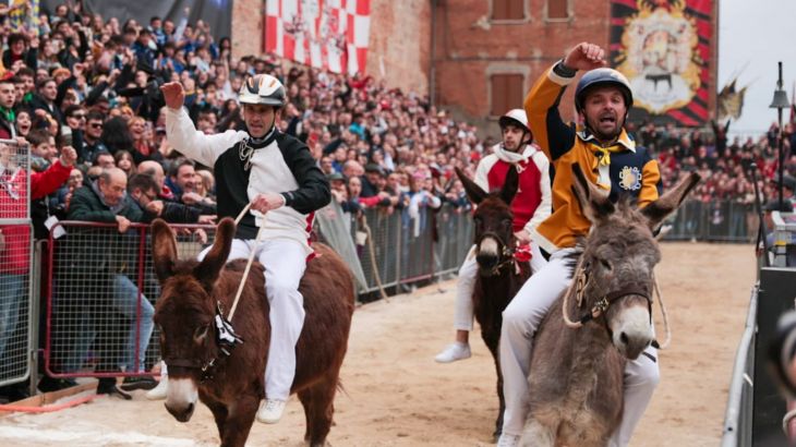 palio dei somari