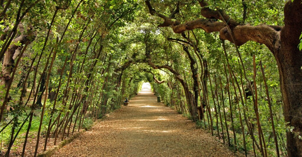 boboli_Garden_photographer